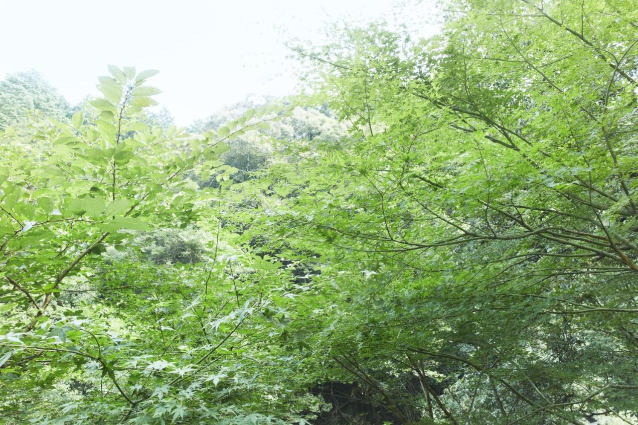 ホテル 不動口館 泉佐野市 エクステリア 写真