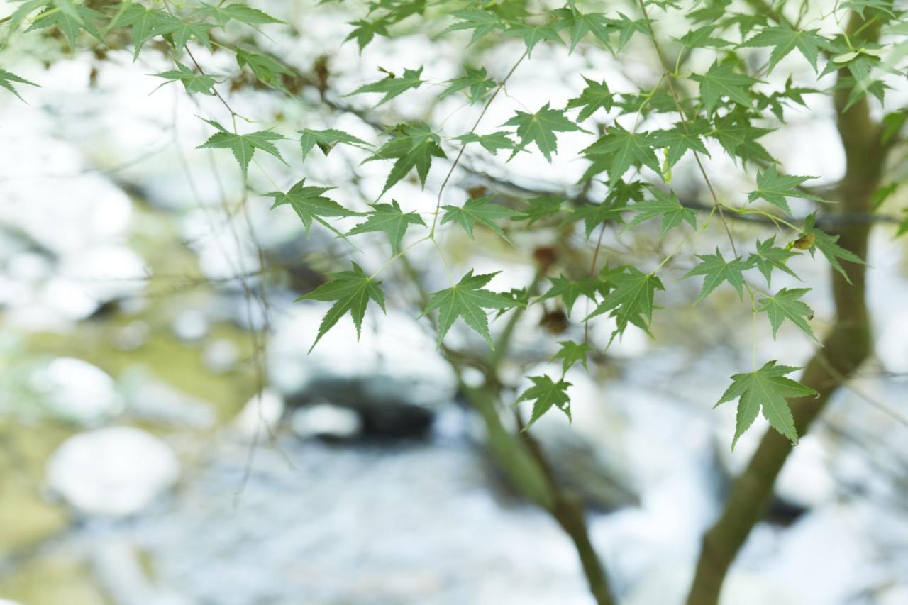 ホテル 不動口館 泉佐野市 エクステリア 写真